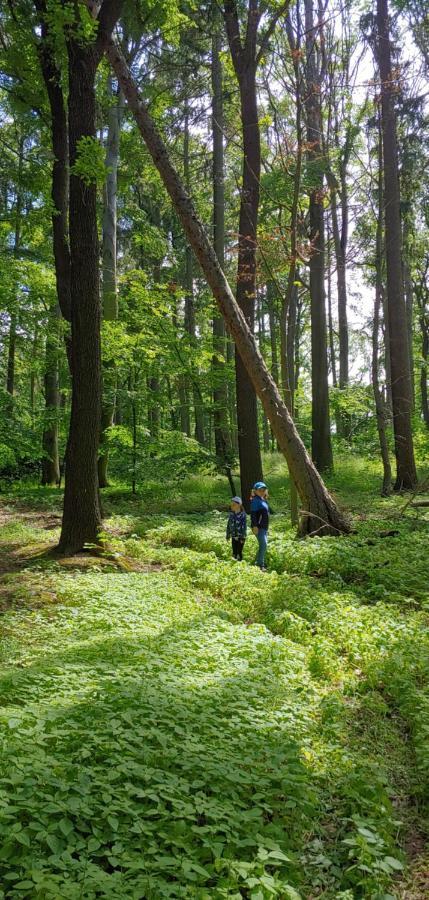 Ferienhaus Triasland Donndorf Екстериор снимка